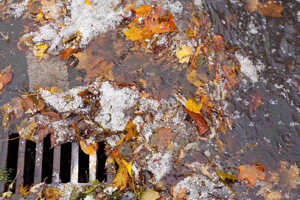 Leaves clogging stormwater drain